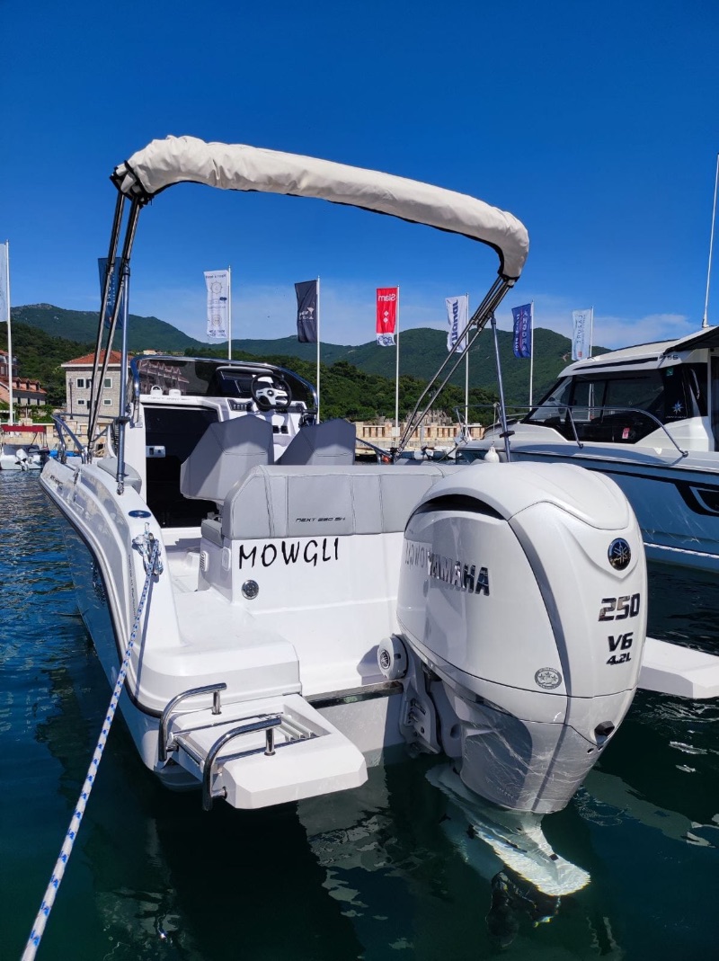 Ranieri 7.3 250hp