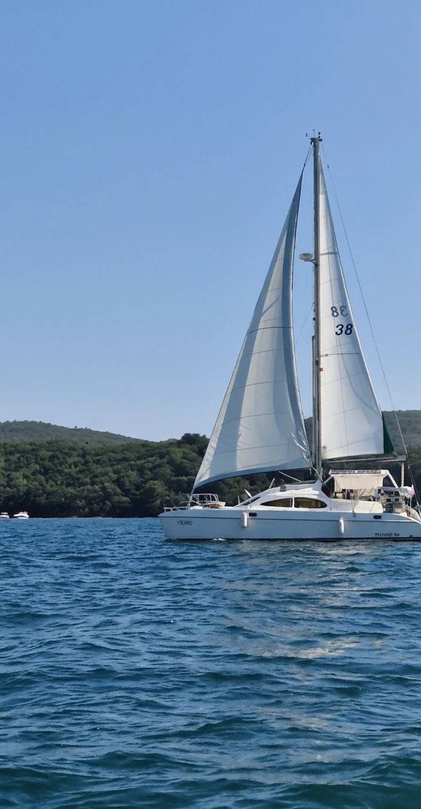 Yachts at Tivat