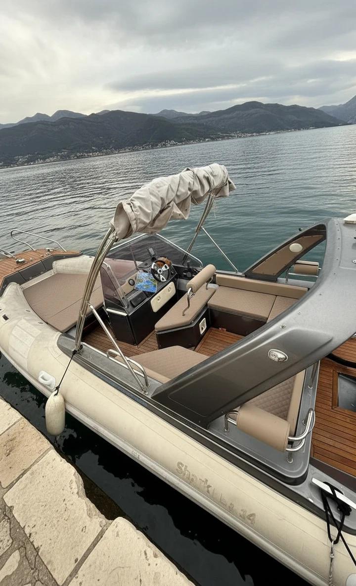 Shark 23