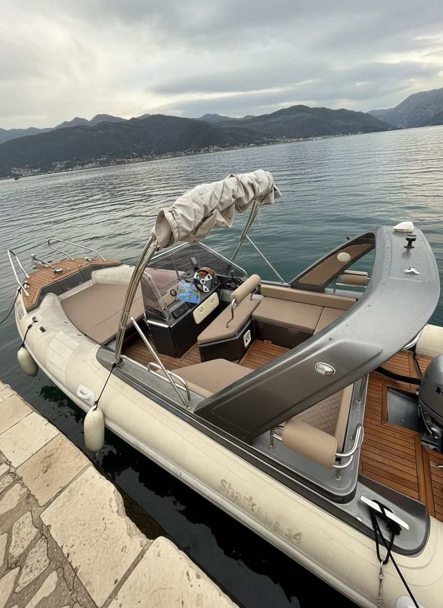 Shark 23